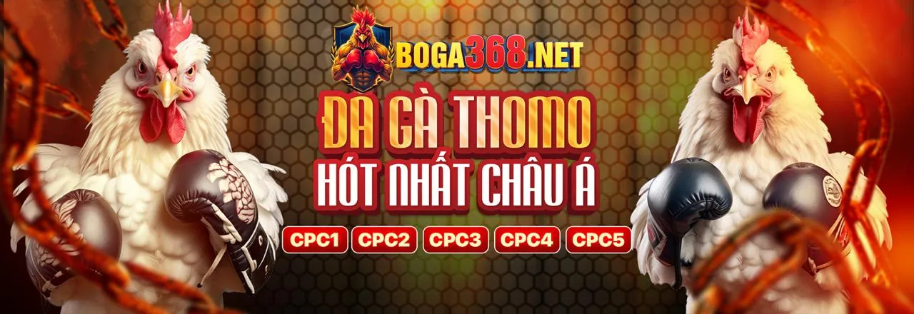 Sòng bạc trực tuyến v788r hiện đại và sang trọng