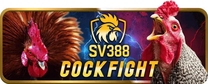Chương trình VIP V788r